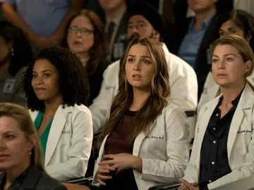 Temporada 15 de 'Anatomía de Grey' Temporada 15 de 'Anatomía de Grey'