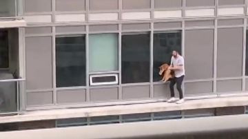 Un hombre se juega la vida caminando por una cornisa para rescatar a su gato de un balcón vecino
