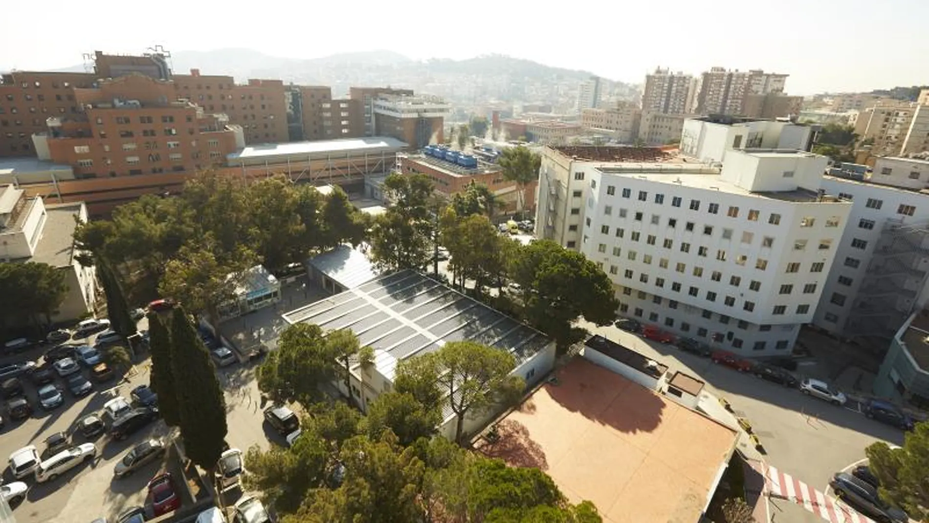 Hospital Vall d'Hebrón de Barcelona Hospital Vall d'Hebrón de Barcelona