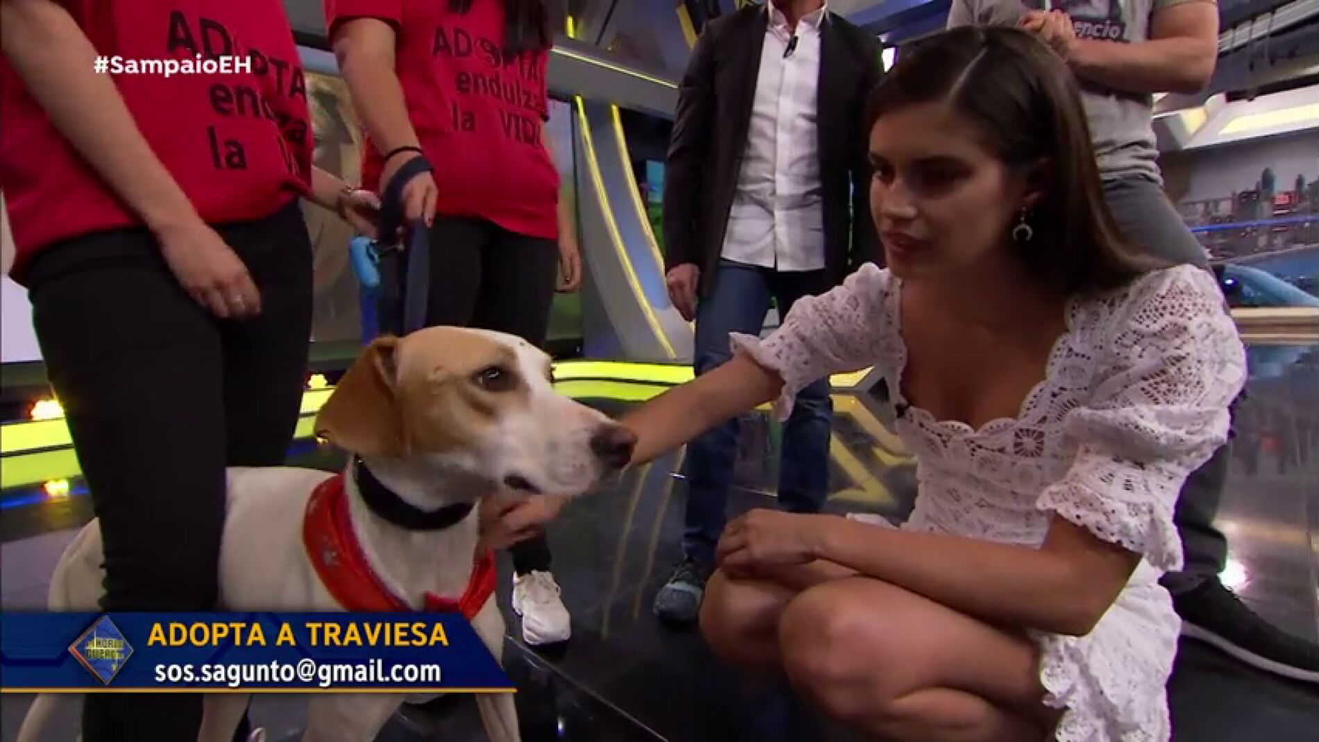 Dani Rovira trae a &lsquo;el Hormiguero 3.0&rsquo; la incre&iacute;ble historia de supervivencia de Traviesa 