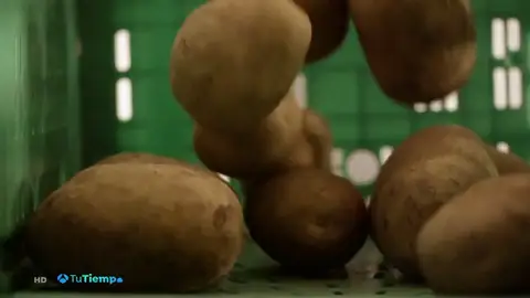 PATATAS PATATAS