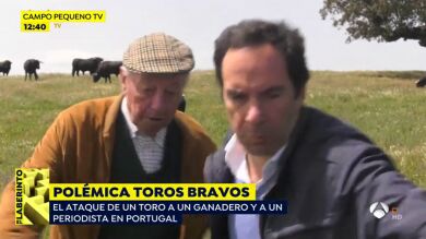 El gran susto de un periodista y su entrevistado, a punto de ser embestidos por un toro bravo