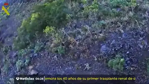 nueva senderista nueva senderista