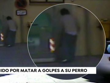 Detenido por matar a golpes a su perro y arrojarlo a la basura en La Rioja