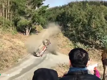 RallyA3D RallyA3D