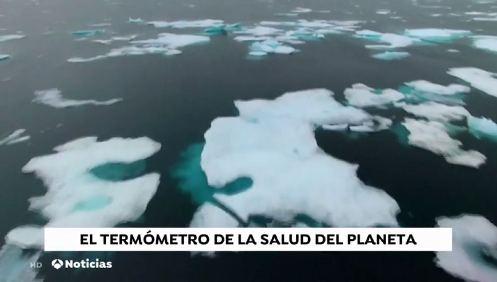 Una avioneta graba la situación del Ártico para alertar de los efectos del cambio climático