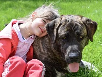 Niña con su perro Niña con su perro
