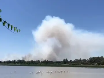 Controlado un incendio forestal en el Espacio Natural de Doñana Controlado un incendio forestal en el Espacio Natural de Doñana
