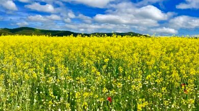 Disfruta de las mejores fotos de los espectadores del mes de mayo