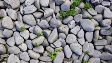 Varias rocas en una playa