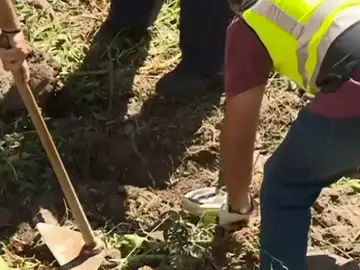 La policía registra un barranco en busca de una pista del crimen La policía registra un barranco en busca de una pista del crimen