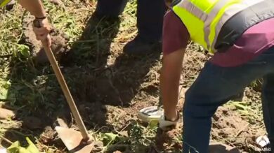La policía registra un barranco en busca de una pista del crimen