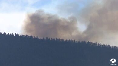Los efectivos dan por controlado el incendio del Teide