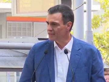 Pedro S&aacute;nchez apoya a la candidata socialista a Santa Cruz