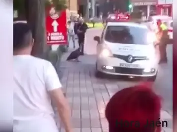 Rescatan a un buitre desorientado y desnutrido en el centro de Jaén Rescatan a un buitre desorientado y desnutrido en el centro de Jaén