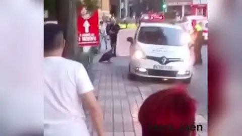 Rescatan a un buitre desorientado y desnutrido en el centro de Jaén Rescatan a un buitre desorientado y desnutrido en el centro de Jaén