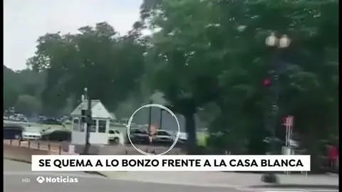 NUEVA BOZO NUEVA BOZO