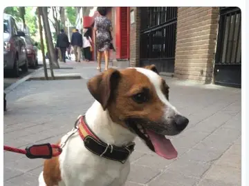 Pecas Aguirre Pecas Aguirre