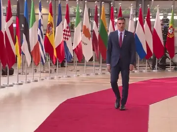 ¿Cuáles son las opciones de investidura para Pedro Sánchez? ¿Cuáles son las opciones de investidura para Pedro Sánchez?