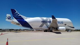 El avi&oacute;n de carga BelugaXL de Airbus