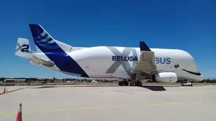 El avión de carga BelugaXL de Airbus El avión de carga BelugaXL de Airbus