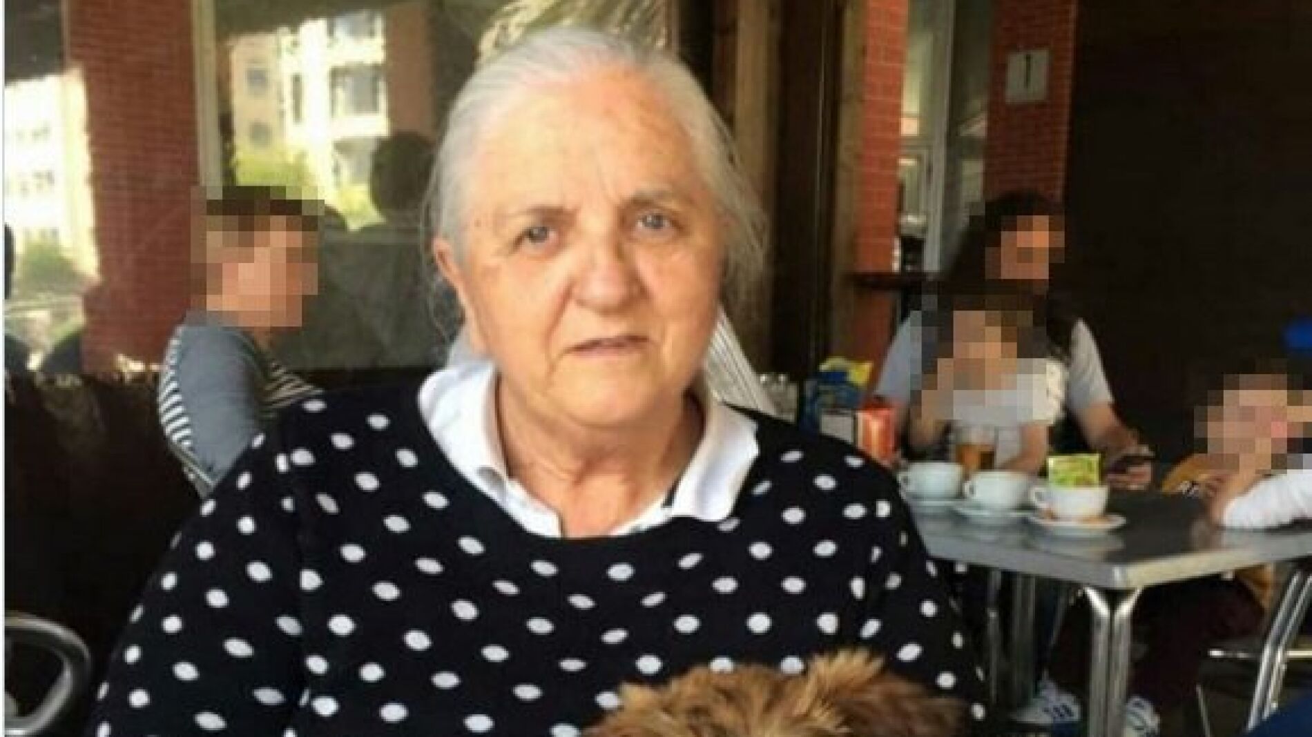 La mujer desaparecida en Pamplona junto a su perro