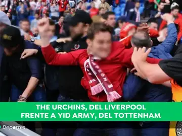 ultras_A3D ultras_A3D