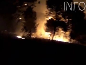 Cientos de efectivos continúan trabajando para extinguir un incendio en Huelva