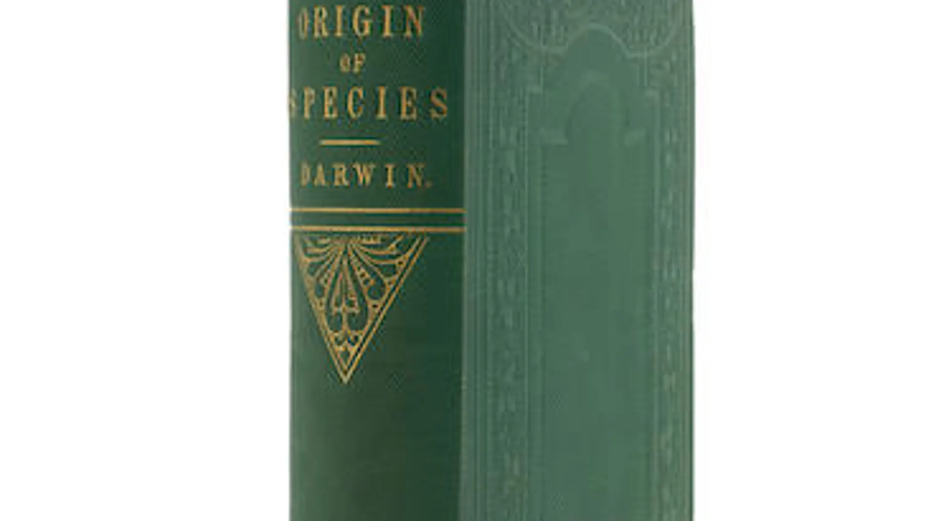 Subastan una de las primeras copias de 'El origen de las especies' Subastan una de las primeras copias de 'El origen de las especies'