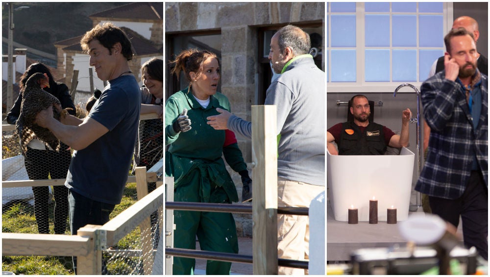 Una crisis de pareja, un gallinero en el colegio y una broma muy cara