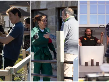 Una crisis de pareja, un gallinero en el colegio y una broma muy cara Una crisis de pareja, un gallinero en el colegio y una broma muy cara