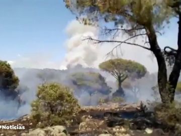 Riesgo alto de incendios: Se eleva a nivel 2 el de Hoyo de Pinares en Ávila
