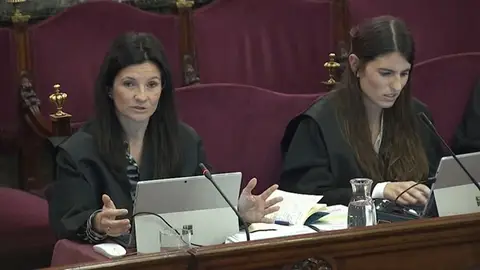 La jefa del departamento Penal de la Abogacía del Estado, Rosa María Seoane, durante el juicio del 'procés'. La jefa del departamento Penal de la Abogacía del Estado, Rosa María Seoane, durante el juicio del 'procés'.
