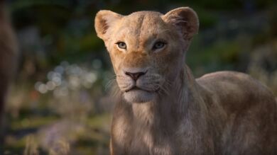 La preciosa imagen del reparto de 'El rey León' al completo