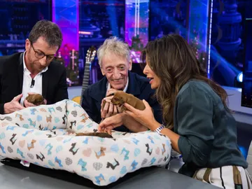 El momento más tierno de 'El Hormiguero 3.0': Nuria Roca trae a los preciosos cachorros de la perra Pepita El momento más tierno de 'El Hormiguero 3.0': Nuria Roca trae a los preciosos cachorros de la perra Pepita