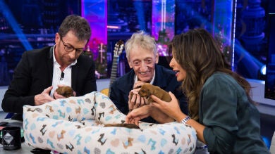 El momento más tierno de 'El Hormiguero 3.0': Nuria Roca trae a los preciosos cachorros de la perra Pepita