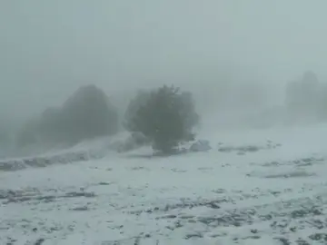 Nieve Nieve