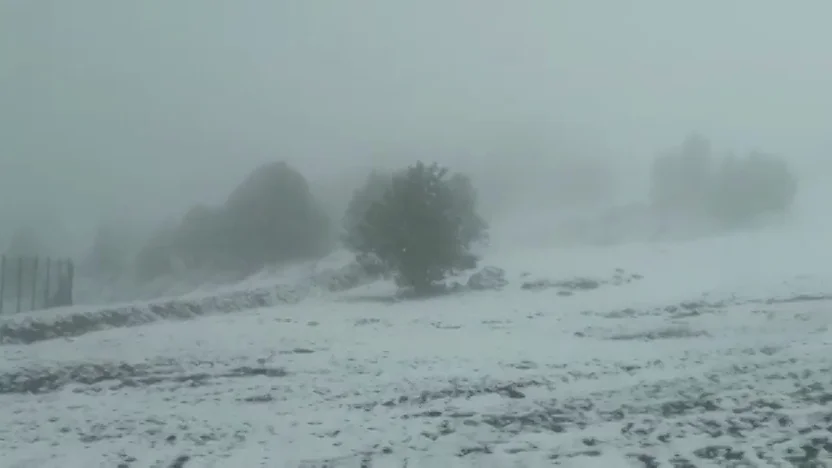 Nieve Nieve