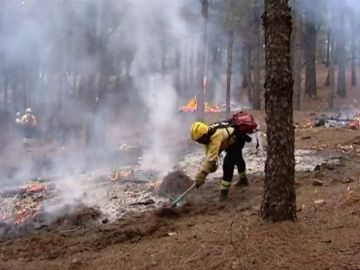 1.300 efectivos velarán para que no haya incendios en Canarias