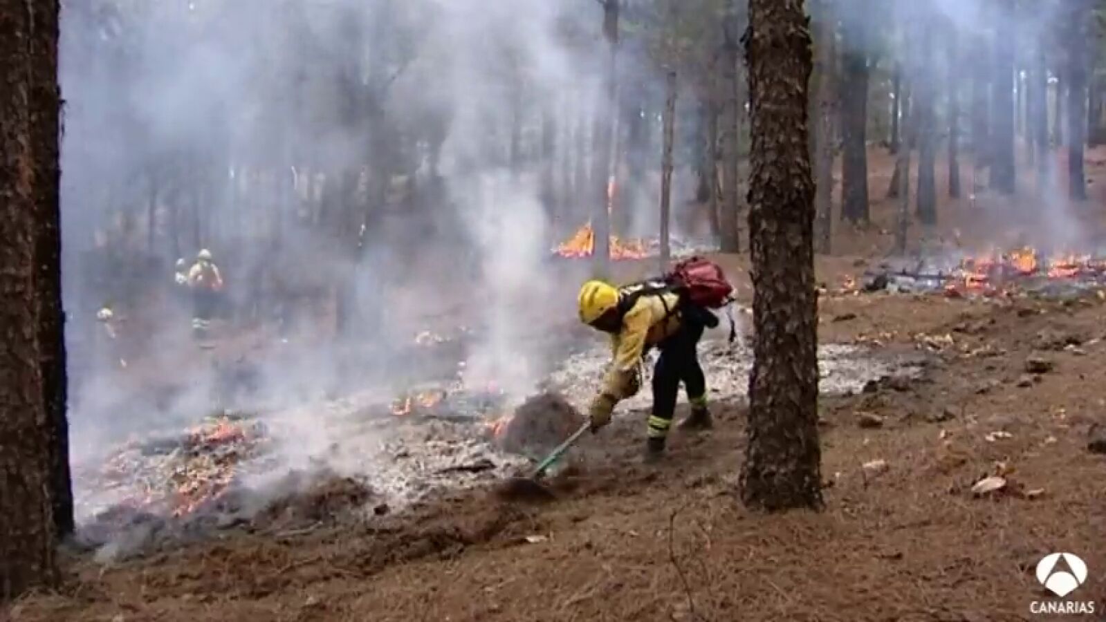 1.300 efectivos velarán para que no haya incendios en Canarias