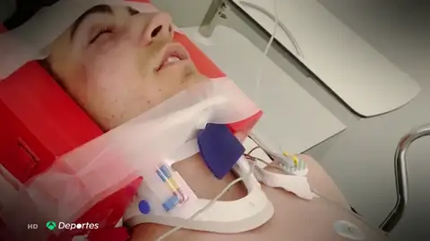 CeboA3D CeboA3D