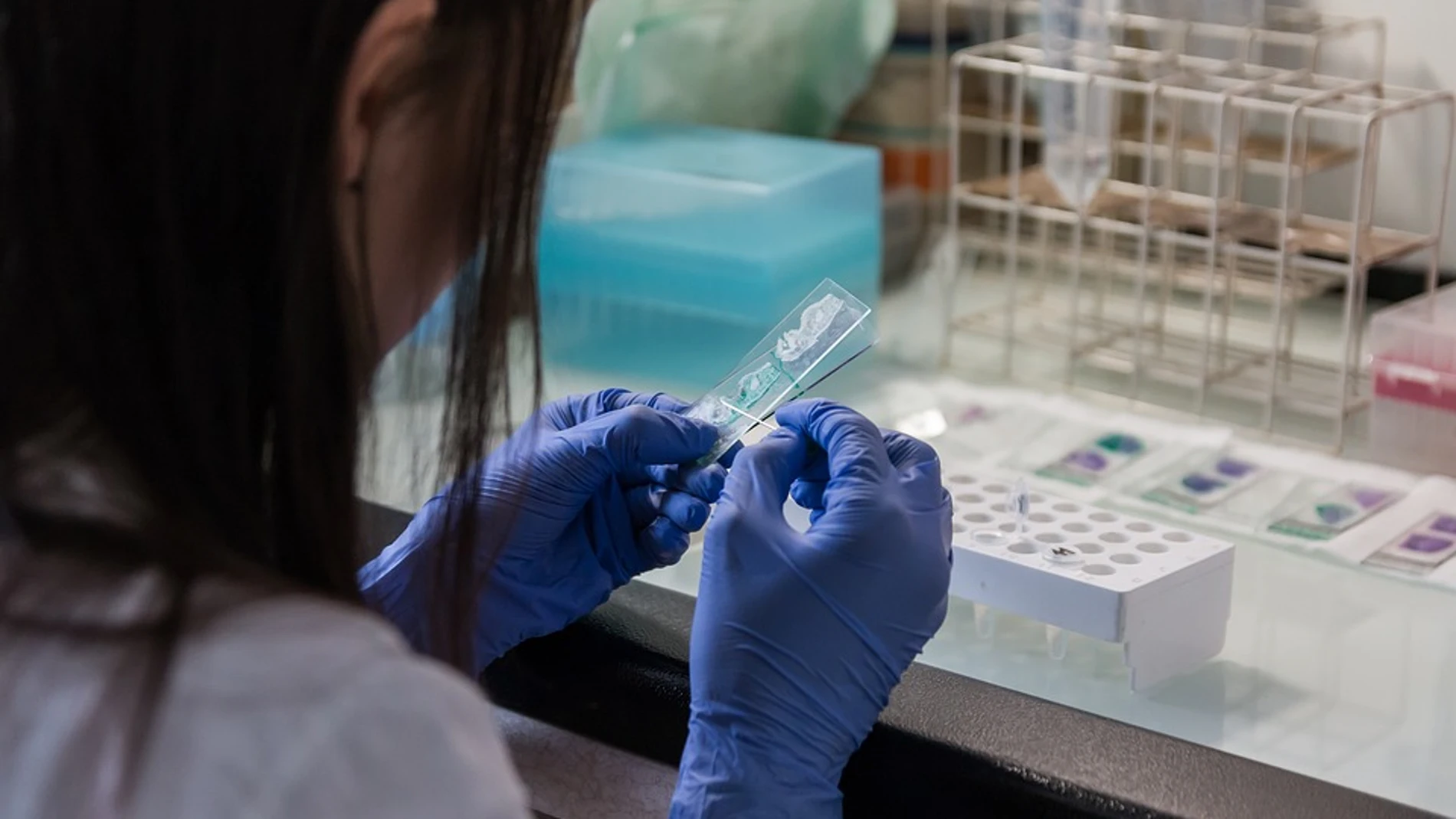 Mujer en un laboratorio Mujer en un laboratorio
