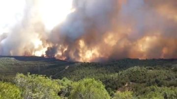 Se complica el incendio de Vinebre en Tarragona: Hay decenas de desalojados y carreteras cortadas Se complica el incendio de Vinebre en Tarragona: Hay decenas de desalojados y carreteras cortadas
