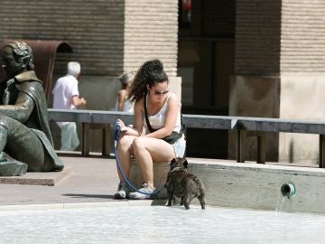 Una mujer refresca a su perro en la fuente de Goya e la Plaza de El Pilar