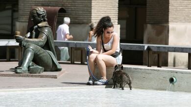 Advierten sobre los peligros de la ola de calor sobre los animales