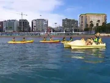 El mar, los animales y la naturaleza, las vacaciones de los peques El mar, los animales y la naturaleza, las vacaciones de los peques
