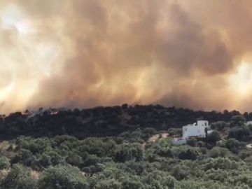 Declarado un incendio en las proximidades de Toledo
