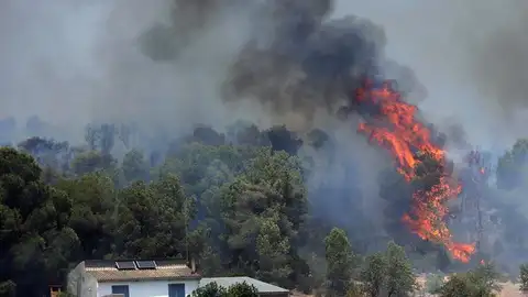 Incendio forestal en Tarragona Incendio forestal en Tarragona