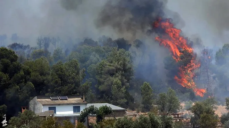 Incendio forestal en Tarragona