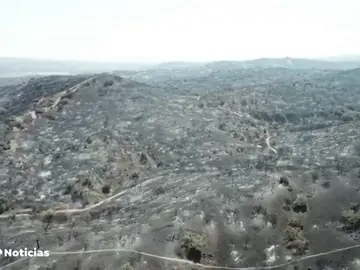 Incendio en Toledo Incendio en Toledo